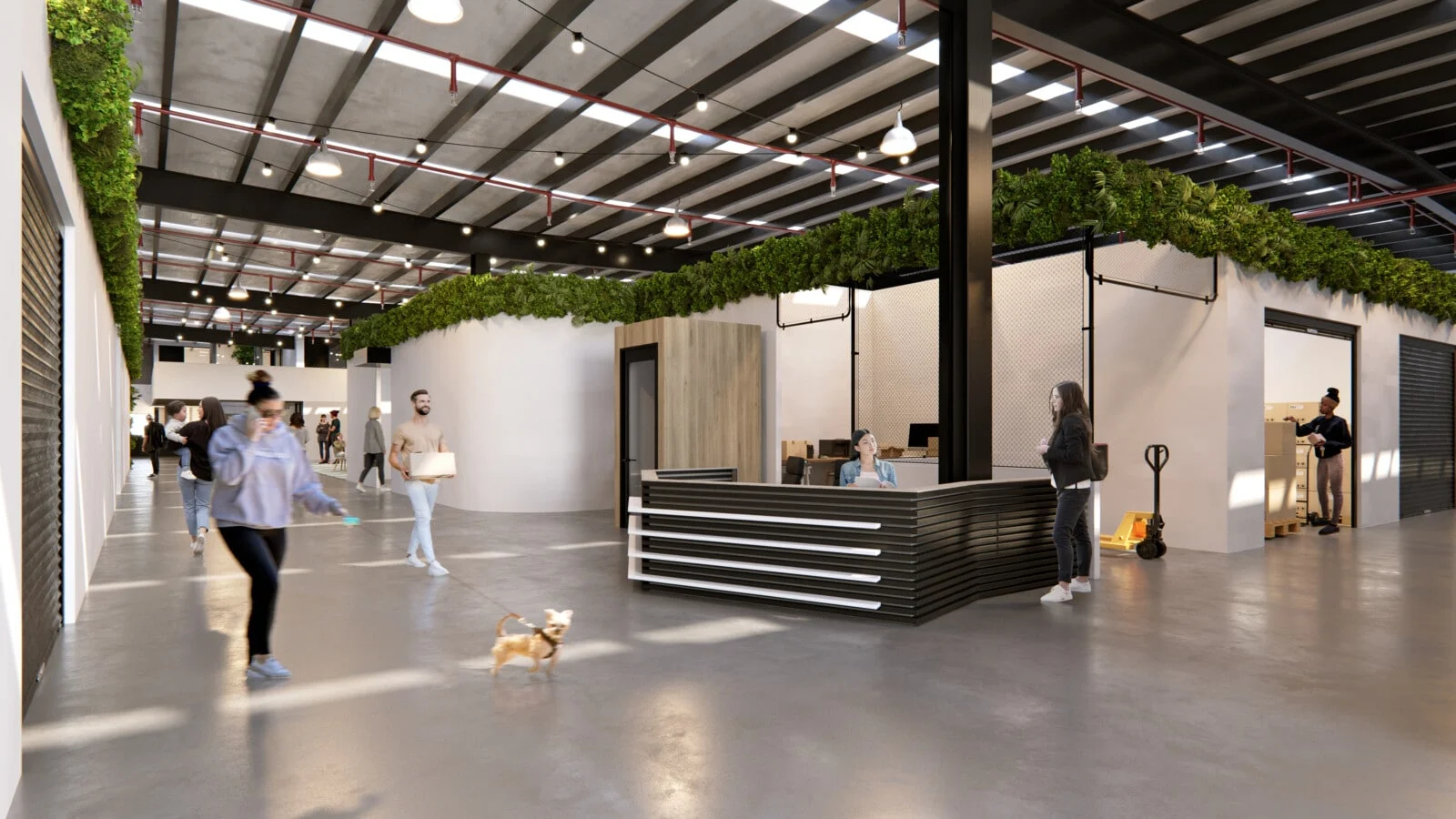 About DiroDi | Australia's Top-Rated E-Bike Online Store